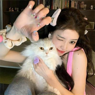 撞彩发达